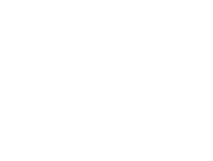 Elan Coiffeur Logo weiß